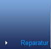Reparatur